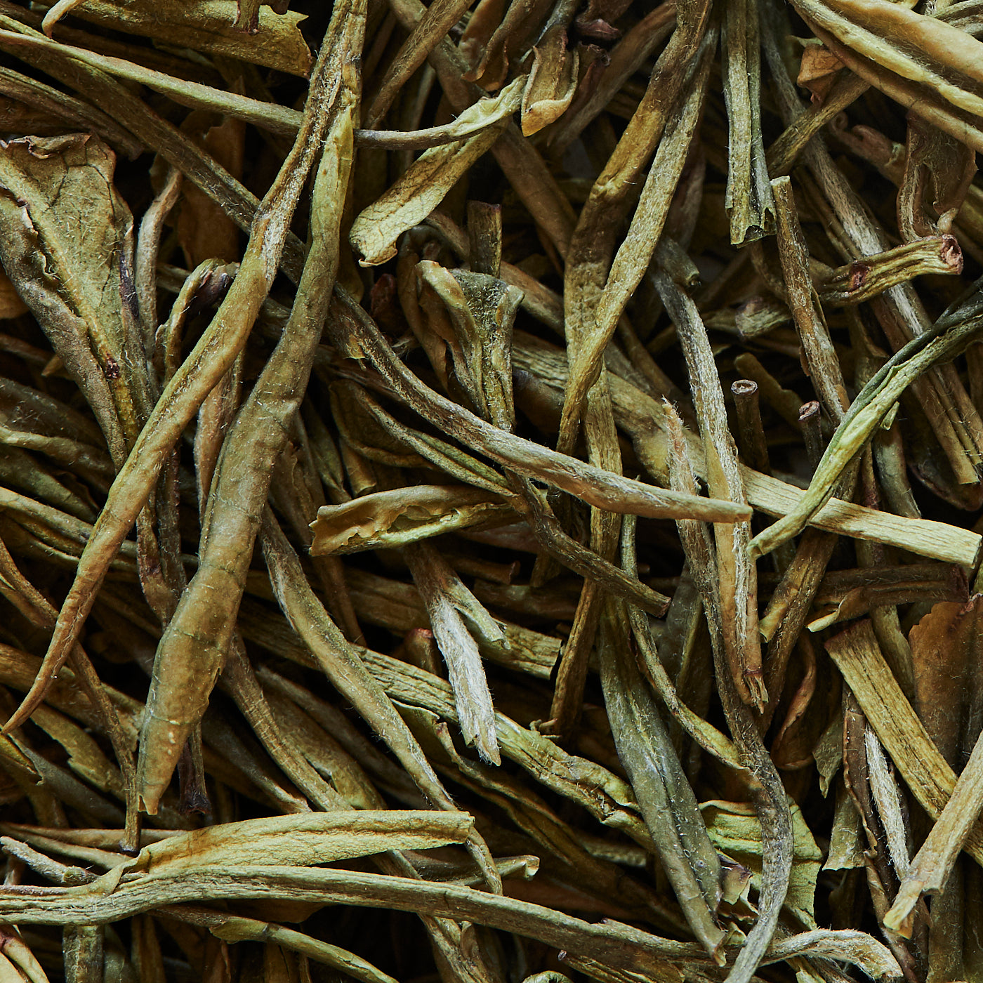 Tè verde ANJI BAI CHA RACCOLTO APRILE 2024 - 150gr