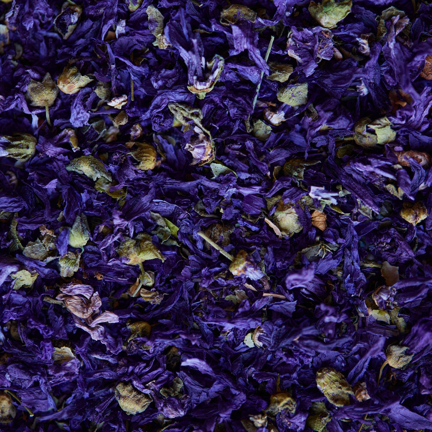 FIORI DI MALVA