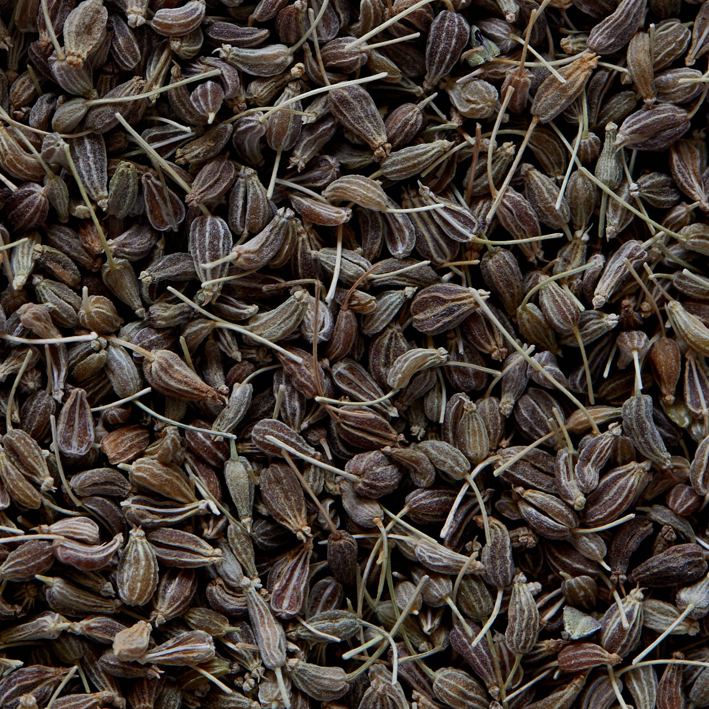 ANICE (901) - 50gr, Egitto, Infusi, tisane, liquori, pane, dolci, carne, verdure, formaggi